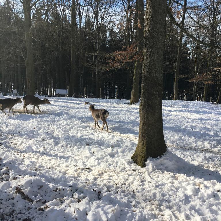 B&B La Ferme Du Doux Libramont-Chevigny Bagian luar foto